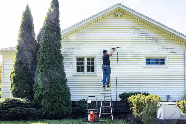 Best Gutter Cleaning and Brightening in Red Corral, CA